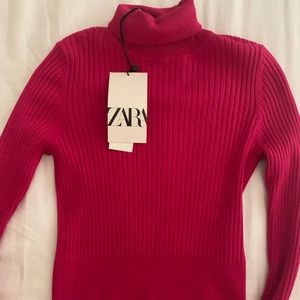 Hot Pink Zara Turtle Neck